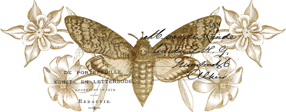 Vintage Golden Moth with Flower Illustrations and Old Cursive Handwriting in the Background 