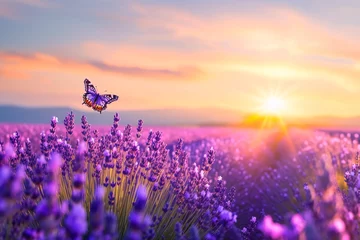 Fotobehang a butterfly flying over a field of lavender © Dogaru