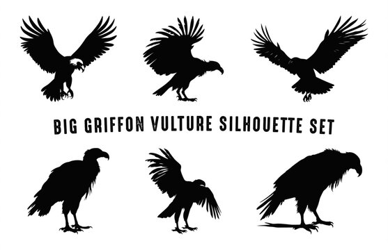 Flying Vulture Beak black silhouettes Set, Big Griffon Vulture Silhouette Vector Bundle