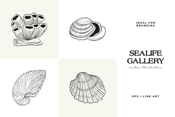 Hand-drawn vector set featuring realistic sketches of various marine seashells and starfish in black and white. Ideal for underwater-themed designs.