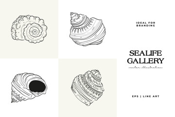 Hand-drawn vector set featuring realistic sketches of various marine seashells and starfish in black and white. Ideal for underwater-themed designs.