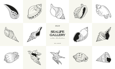 Hand-drawn vector set featuring realistic sketches of various marine seashells and starfish in black and white. Ideal for underwater-themed designs.