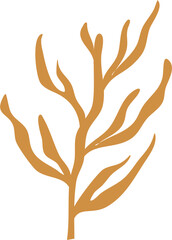 Organic Abstract Shape