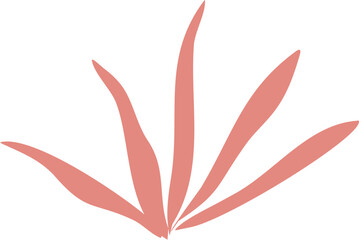 Organic Abstract Shape