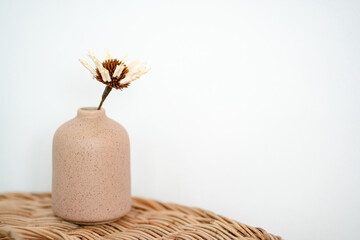 Close up and selective vase of flower on wooden table in living room, isolate concept.