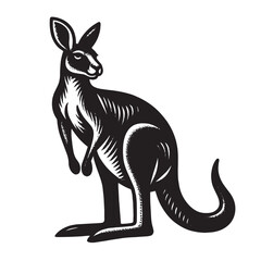 Kangaroo.  Old vintage engraving illustration. Hand drawn outline graphic. Logo, emblem, icon. Isolated object, cut out. black and white	