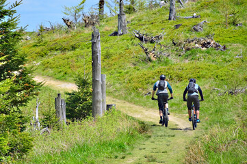 Two cyclists riding along an  mountains road, back view, wellness and sport activity.