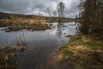 FLOOD - Flooded river valley and meadows after the rains