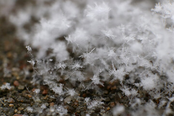 Frost snowflakes nature background texture. Macro closeup.
