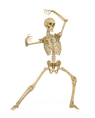 structural skeleton is dancing
