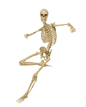 structural skeleton is doing a action pose