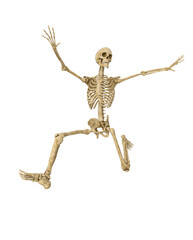 structural skeleton is doing a super jump