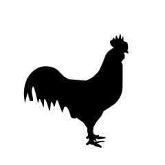 silhouette of a hen