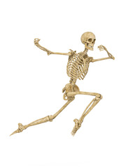 structural skeleton is jumping to punch
