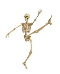 structural skeleton is kicking up high