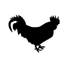 silhouette of a hen