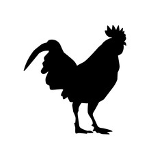 silhouette of a hen