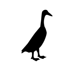 poultry Silhouette for Art Illustration