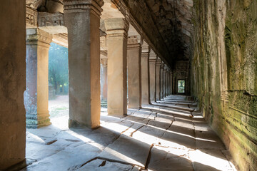 Fototapeta premium Ta Prohm temple at Angkor Thom complex, Siem Reap, Cambodia