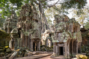 Naklejka premium Ta Prohm temple at Angkor Thom complex, Siem Reap, Cambodia
