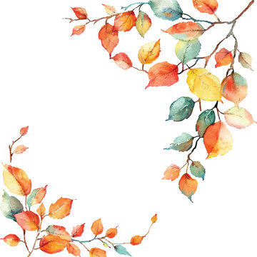 autumn leaves painting watercolour vector illustration for background