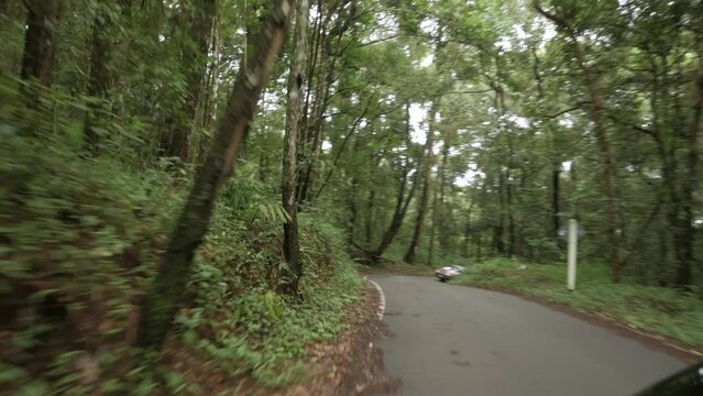 view of the country side road through the rain forest on the mountain in northern area of Thailand front camera view on the moving car through mountain road