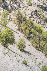 Fototapeta na wymiar Rocky mountain slope with vegetation in the Fan Mountains in Tajikistan