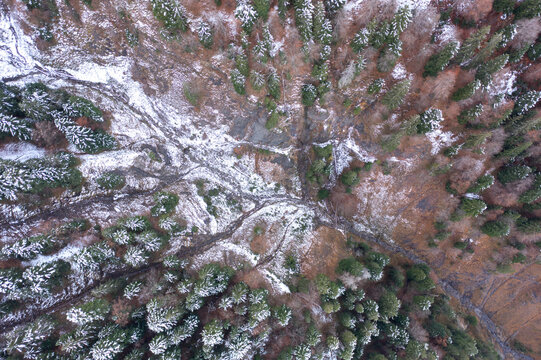 Bewirtschaftetes Waldst&uuml;ck in steilem Gel&auml;nde in den Bergen im Winter.