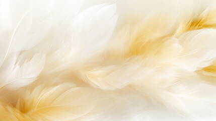 background white and gold  feathers, airy design, texture feathers, minimalist, softness,  light, elegant