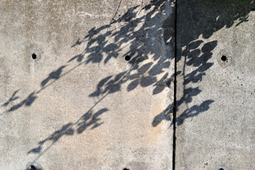 Shadows of Leaves on Rough Textured Grey Concrete Wall