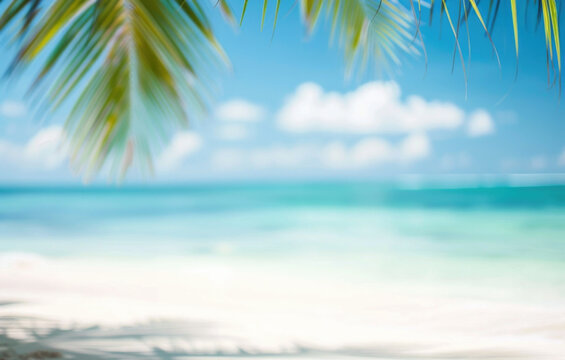 Tropical beach with palm trees, sand, waves and sun light, defocused abstract background with copy space