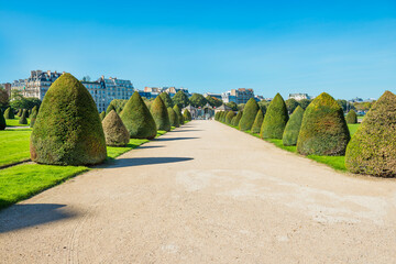 Alley in sunny park with green trimmed bushes in european town