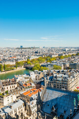Paris cityscape with  aerial architecture, roofs and city view - 752469394