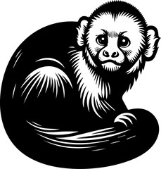 Capuchin icon2