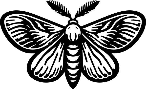 Cabbage Moth icon