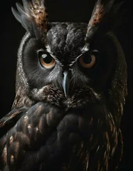 Poster Owl © Roberto