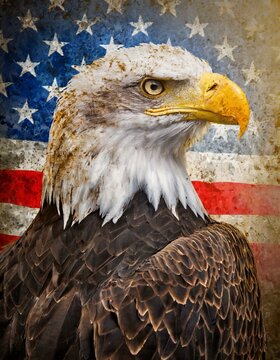 American Bald Eagle on Flag in background 