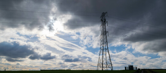 lines in the field