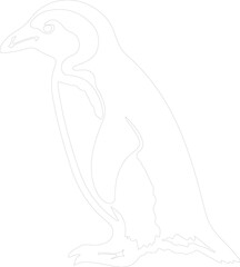 African penguin outline