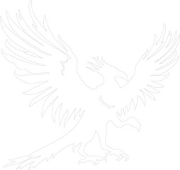Archaeopteryx outline