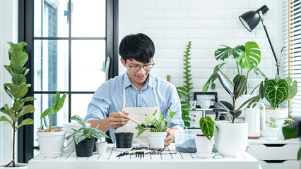 Asian man gardener using shovel to transplanting plant into a new pot and take care of plants in...