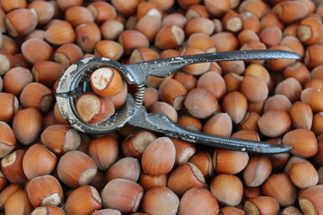 Nutcracker on hazelnut background
