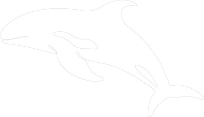 Obraz premium beluga whale outline