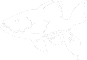 Fototapeta premium coelacanth outline