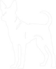 Capehuntingdog outline
