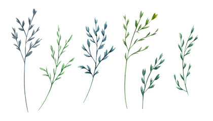 Set of watercolor spikelets. Meadow wild herbs. Plants in muted colors. Boho style. Provence abstract herb. Hand drawn illustration. Oats, corn and grass. For decoration, template - obrazy, fototapety, plakaty