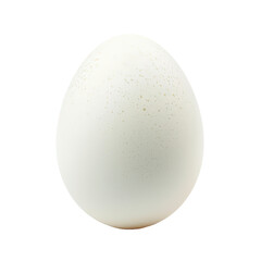 White chicken egg on white or transparent background