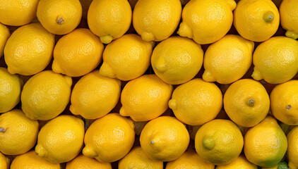 Cytryny, żółte owoce tło