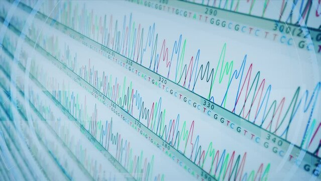 AGCT DNA graphic animation,  results of automated chain-termination DNA sequencing. Genetic examination.
