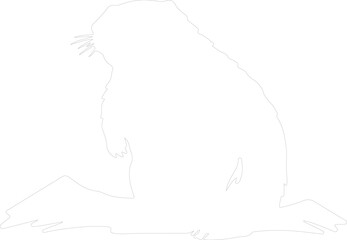 groundhog outline